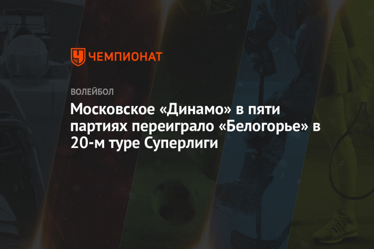 Белогорье динамо москва волейбол