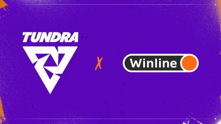 Dota 2 tundra состав