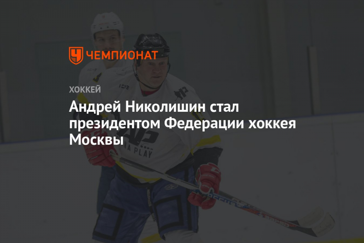 Федерация по хоккею с мячом официальный сайт