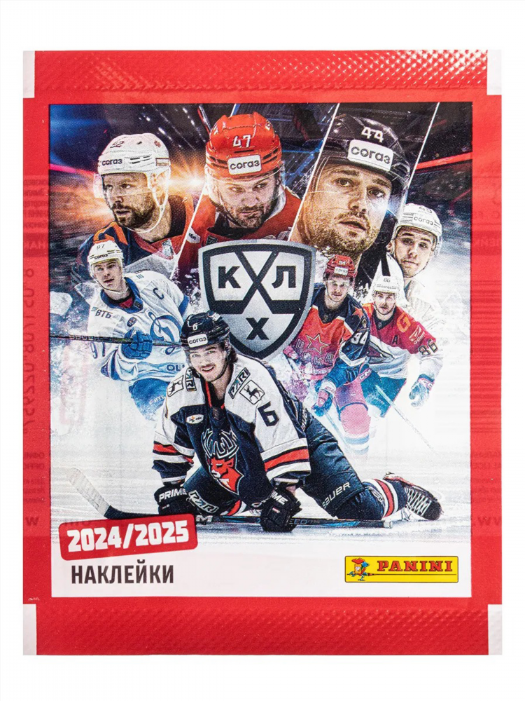 Хоккей 24 25