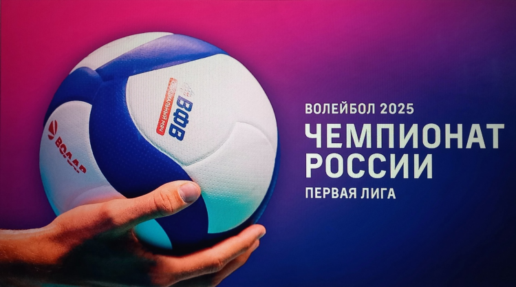 Лига волейбола россии