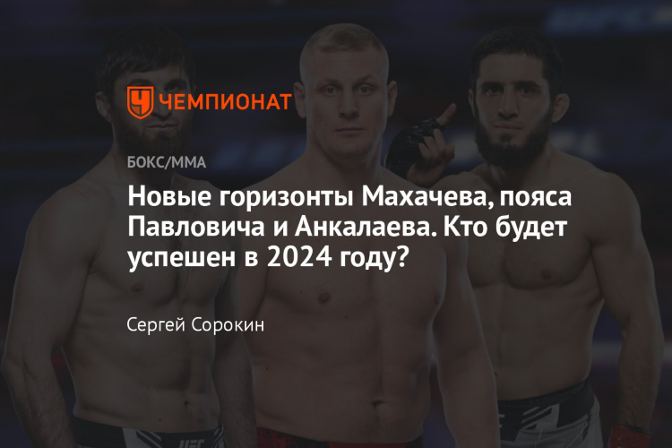 Правила мма в россии 2024
