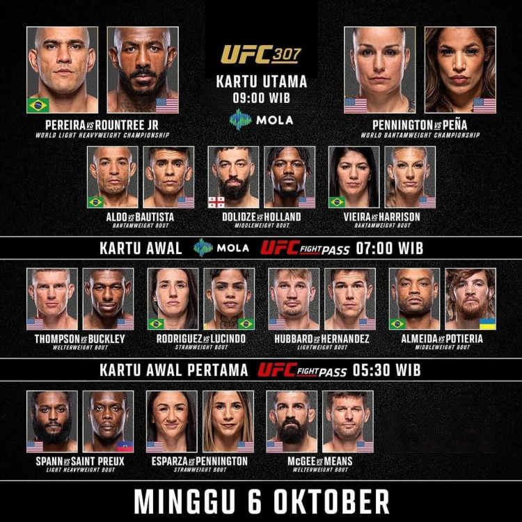 Прямая трансляция боев ufc сейчас онлайн
