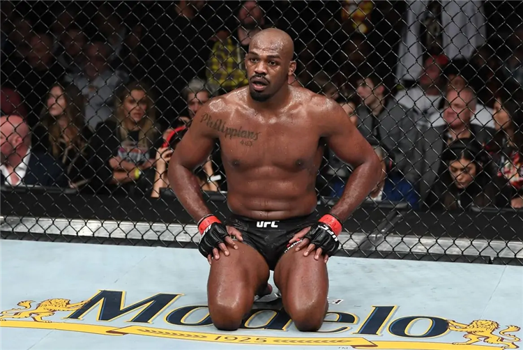Смотреть новые бои ufc