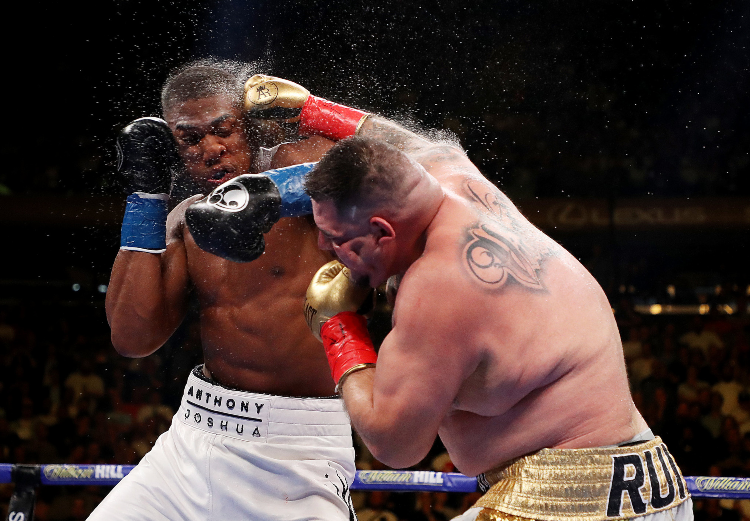 Sports ru boxing