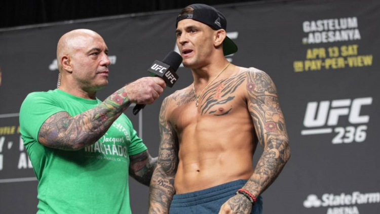 Тест на бойца ufc