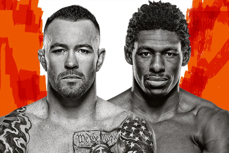 Ufc сегодня смотреть онлайн бесплатно прямой эфир