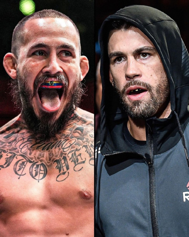 Вера боец ufc